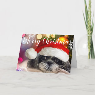Festividades Feliz Natal Shih Tzu Cartão de Saudação