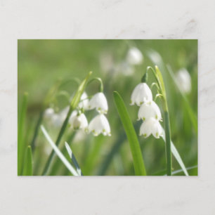 Festividades Flocos de Neve de Verão Cartão Postal DIY