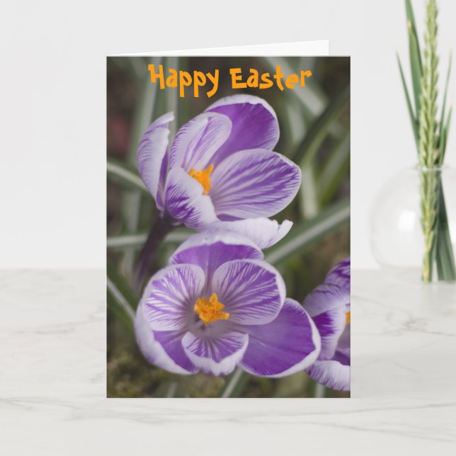 Festividades Flores de crocus roxas ... cartão de Páscoa (Frente)