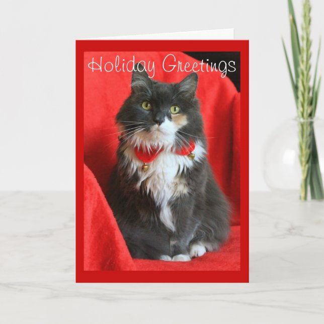 Festividades Fluffy Cat Vestindo Colar de Natal - Cartão (Frente)