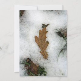 Festividades Folha de carvalho que se encontra no cartão de fér