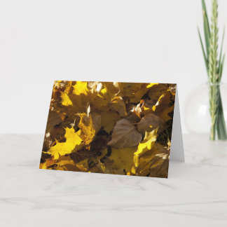 Festividades Folhas de outono - cartão