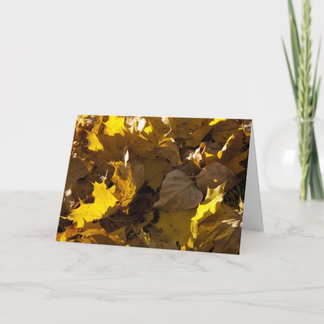 Festividades Folhas de outono - cartão (Frente)