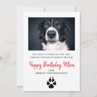 Foto De Cão Feliz Aniversário Cartão Mãe De Cão De