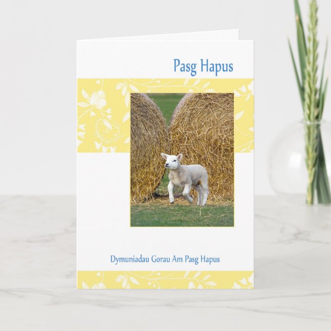 Festividades Galês Pasg Hapus, cartão de páscoa com cordeiro do (Frente)