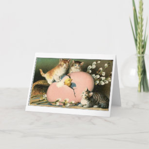 Festividades Gatinhos páscoas! Cartão de Páscoa de Kittens Vito