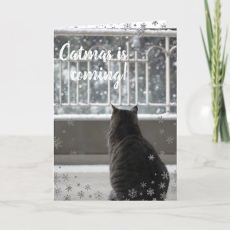 Festividades Gato Bonito de Natal no Cartão de Férias de Neve