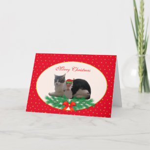 Festividades Gato de Natal Fofo & elfo anjo em cartão vermelho