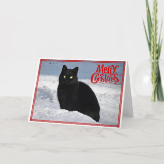 Festividades Gato Negro no Cartão de Natal para Neve