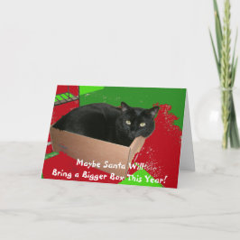 Festividades Gato no cartão de Natal da caixa
