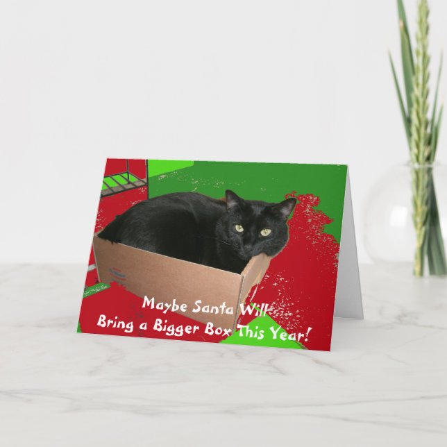 Festividades Gato no cartão de Natal da caixa (Frente)