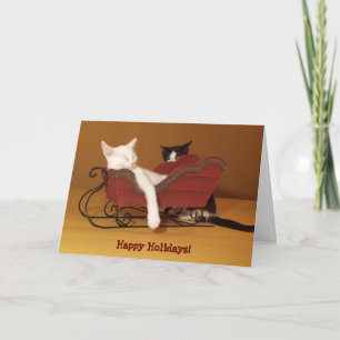 Festividades Gato no Cartão de Natal de Leve Humor