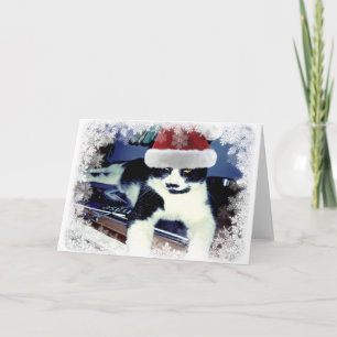 Festividades Gato Tuxedo com Chapéu de Papai Noel Cartão em Bra