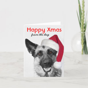 Festividades German shepherd de Cartão de Natal