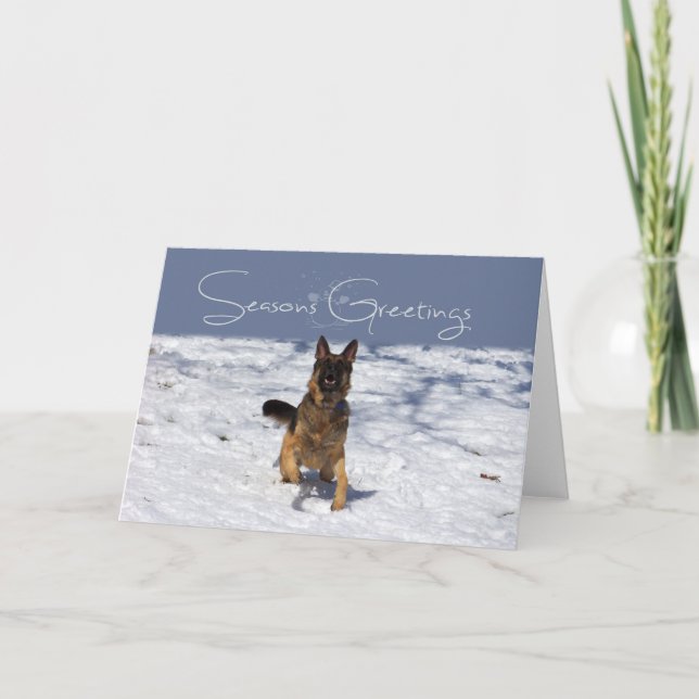 Festividades German shepherd de saudações de Seasons no Cartão  (Frente)