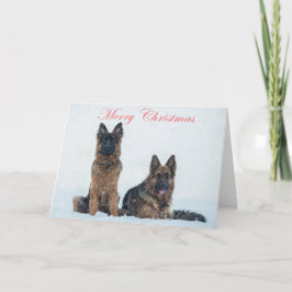 Festividades German shepherd no cartão de natal da neve.