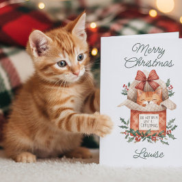 Festividades Ginger Cat Bonito Não Abrir Até Cartão De Natal