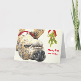 Festividades Greyhound ama o cartão de Natal