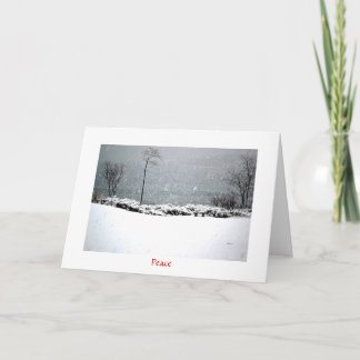 Festividades Hartley Mason Park - Cartão de Férias - Paz