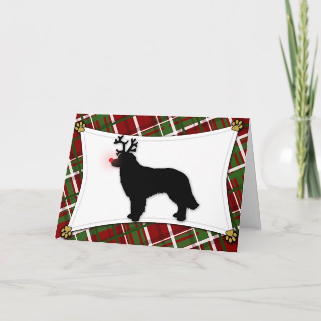 Festividades Hovawart Reindeer Cartão de Natal (Frente)
