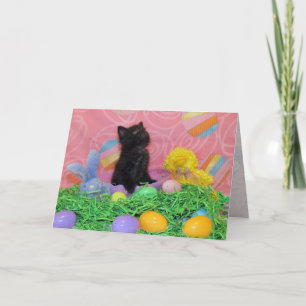 Festividades Iz Da Páscoa Bunny Aqui Ainda Cartão De Saudação