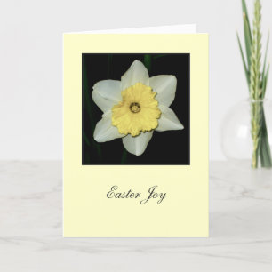 Festividades 'Joy Páscoa' Cartão de Saudação Daffodil