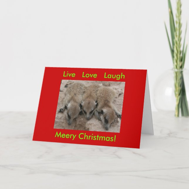 Festividades Live Love Laugh - Cartão de Férias Meerkat (Frente)
