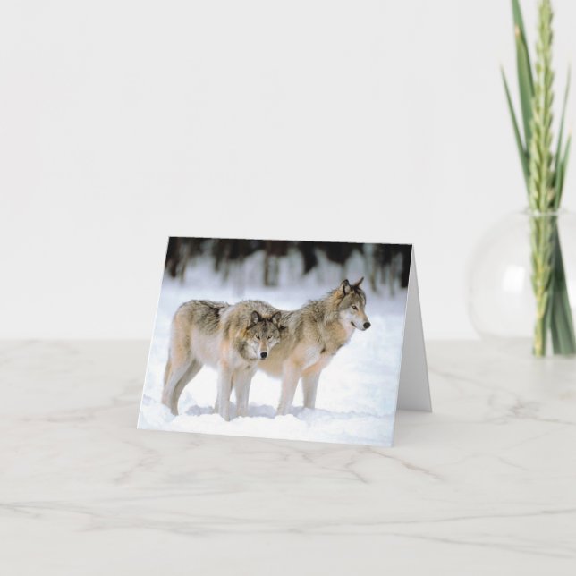 FESTIVIDADES LOBOS NA NEVE CARTÃO DE FÉRIAS (Frente)