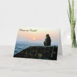 Festividades Macaco do cartão de Natal ao pôr do sol Paz na Ter