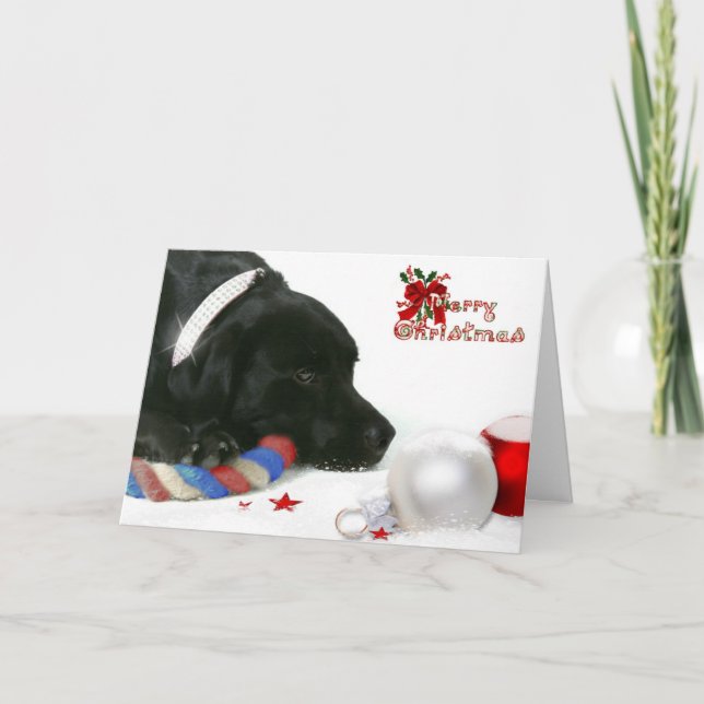 Festividades Madison, o cartão de Natal Black Labrador (Frente)