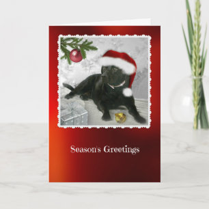 Festividades Madison, o cartão de Natal Black Labrador