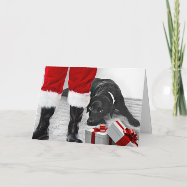 Festividades Madison o cartão de Natal preto de Labrador (Frente)