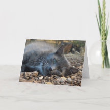 Mamãe é um Adorável Cartão de Dia de as mães de Ga