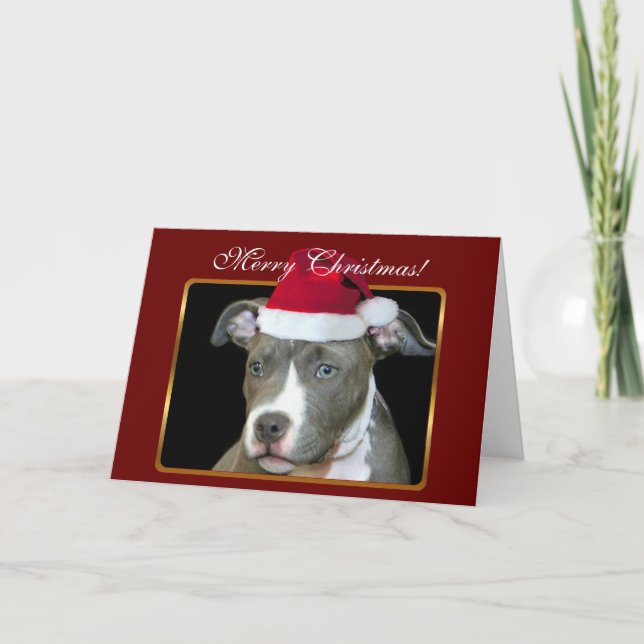 Festividades Merry Christmas pitbull com cartão de saudação (Frente)