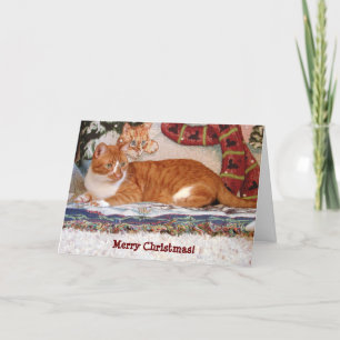 Festividades Meu Cartão de Natal de Cat 'Sombra'