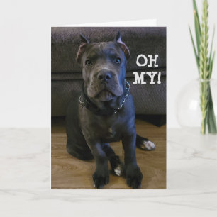 FESTIVIDADES MEU... VOCÊ ESTÁ RODANDO "60" CARTÃO DE ANIVERSÁRI