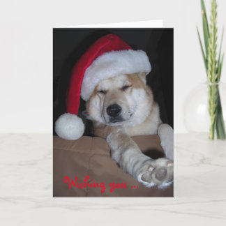 Festividades Muito cartão de Natal de Shiba-Inu