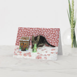 Festividades Natal do Bandit Candy - Cartão de Gato / Kitten