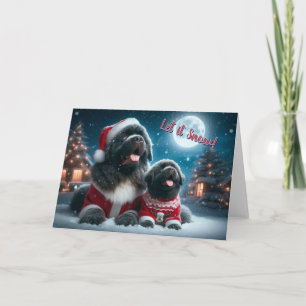 Festividades Newf e Puppy Deixem-no Neve Cartão de Natal