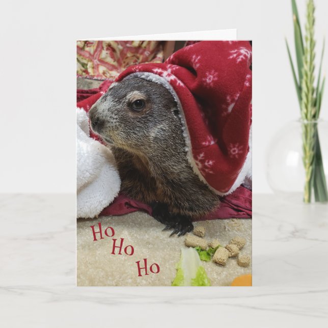 Festividades NOVO! Cartão de Natal de Groundhog B (Frente)