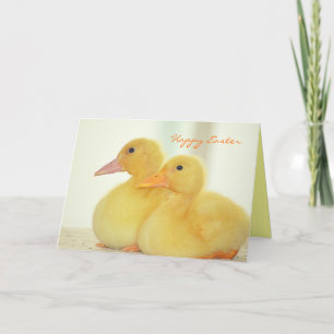 Festividades O bebê bonito Ducks o cartão de páscoa feito so