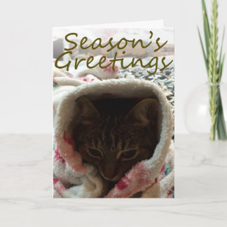 Festividades O Cartão de Saudação da Rubycotuesday