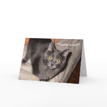 O Cartão de Saudação do Dia de os namorados do Amo