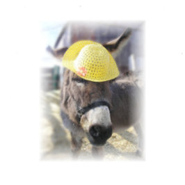 Festividades "O Coelho de Páscoa de Verdade" Cartão de Férias