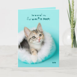 Festividades O favorito olha o cartão de páscoa do gatinho