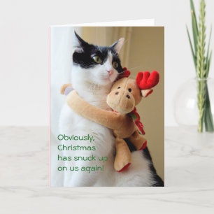 Festividades O Natal Entrou-Nos No Cartão De Saudação De Gato