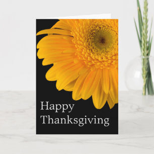 Festividades Orange Gerber Flower : Feliz Cartão de Ação de Gra