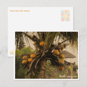 Festividades Palmeira de Coco, Bali Indonésia - Cartão Postal d