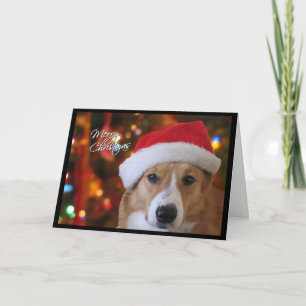 Festividades Papais noeis Pembroke Welsh Corgi Cartão de Natal