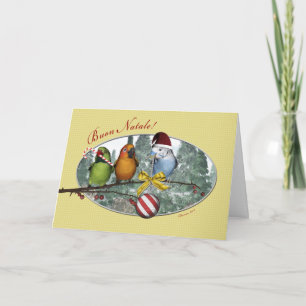 Festividades Parakeet Buon Natale Cartão de Natal Italiano